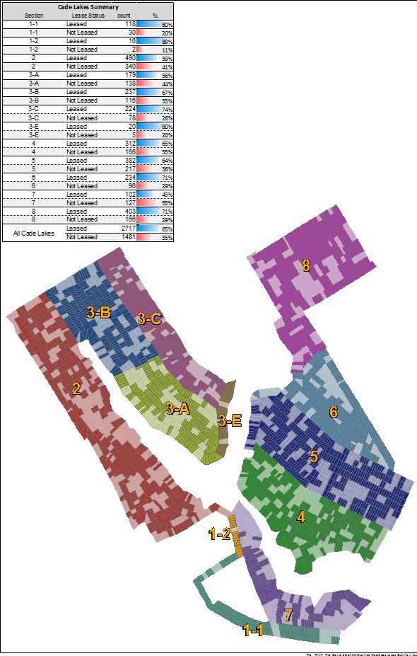 Lease Status Summary of Cade Lakes Subdivision